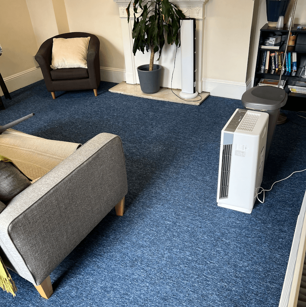 TF - Carpet Cleaning Reading