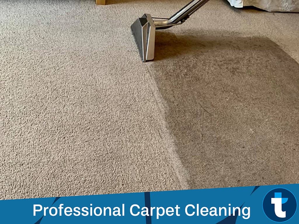 Cleaning Doctor Carpet & Upholstery Services Norwich