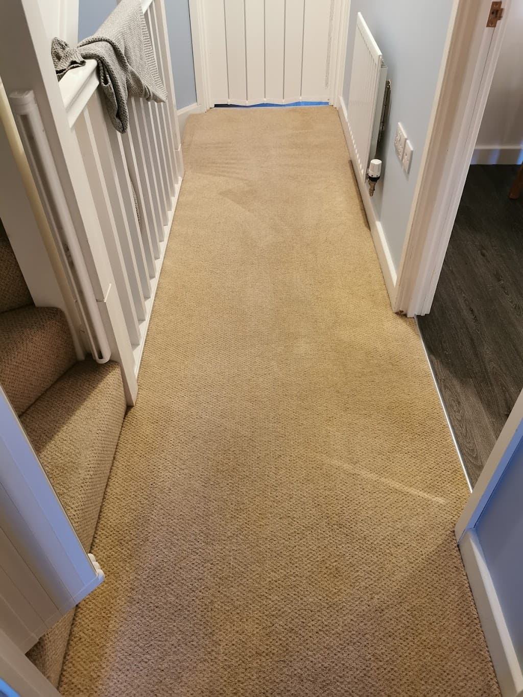 Modestra Ipswich Carpet Cleaning