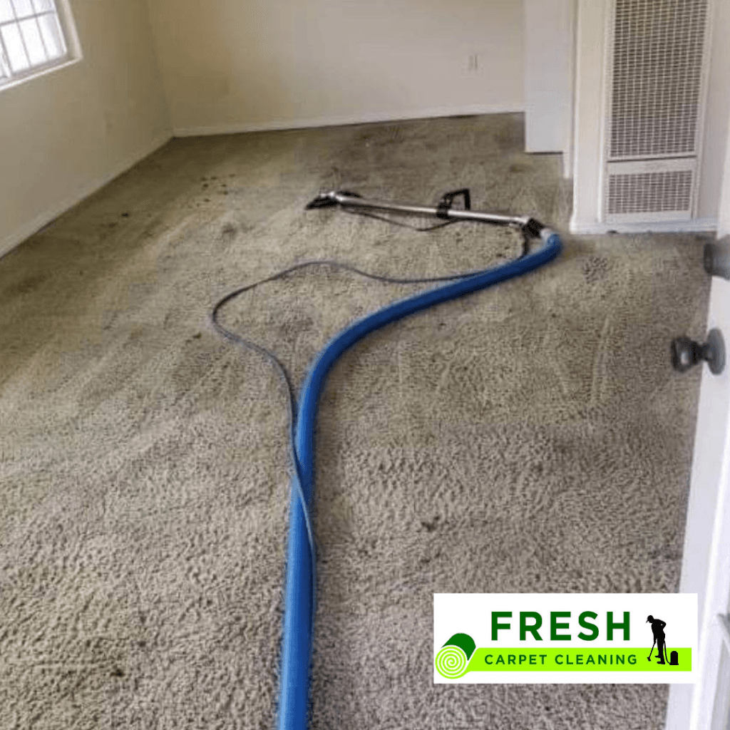 Fresh Carpet Cleaning Newcastle