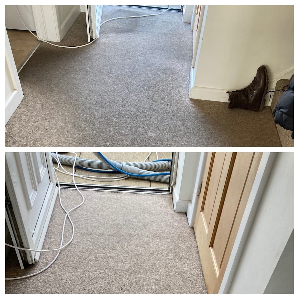 Supreme Carpet Cleaners