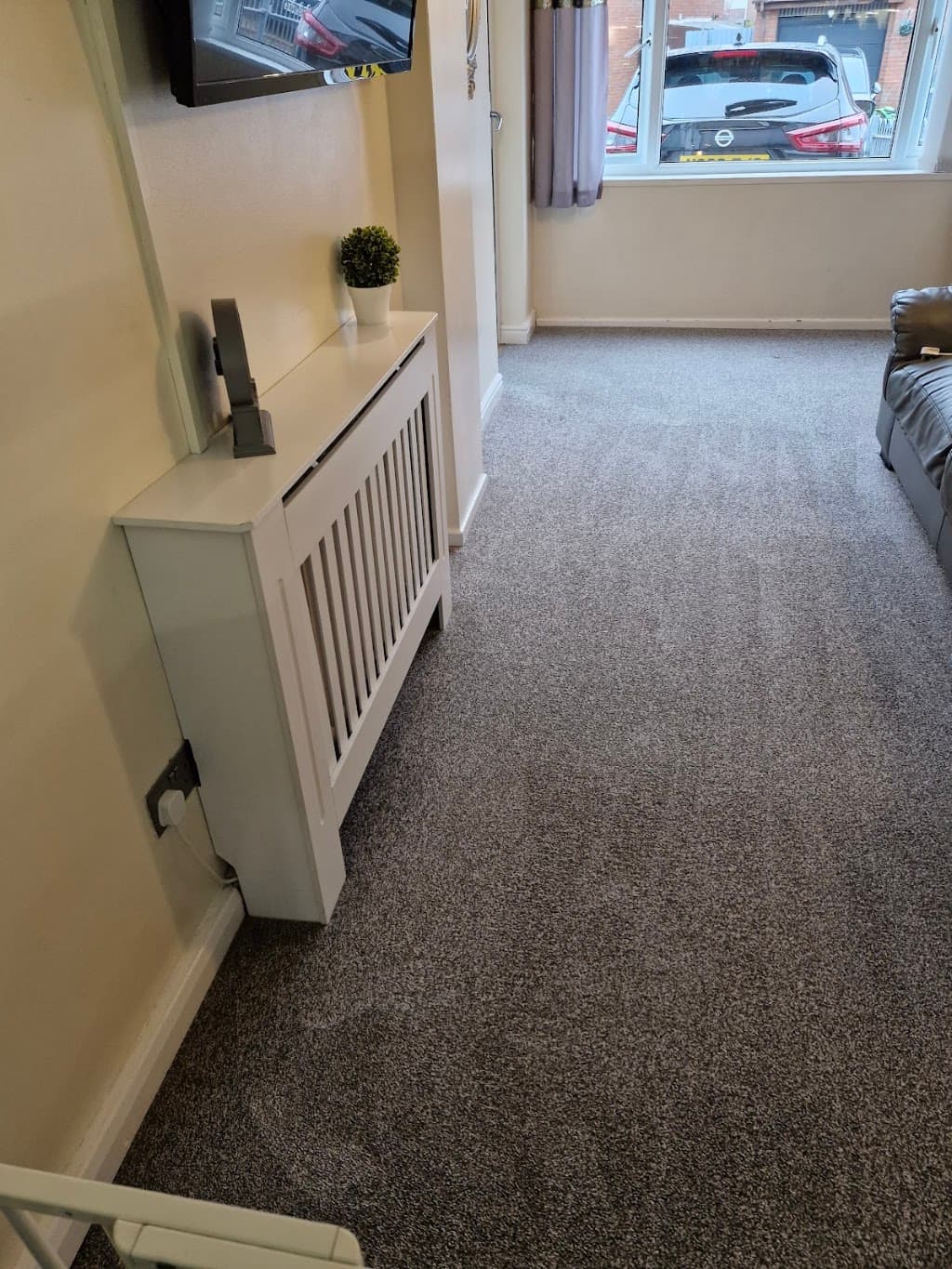 DM Carpet Clean