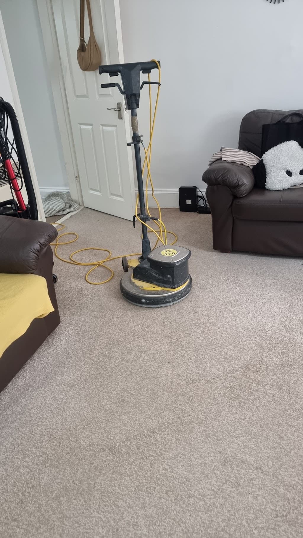 Apex Specialist Cleaning (Bristol)