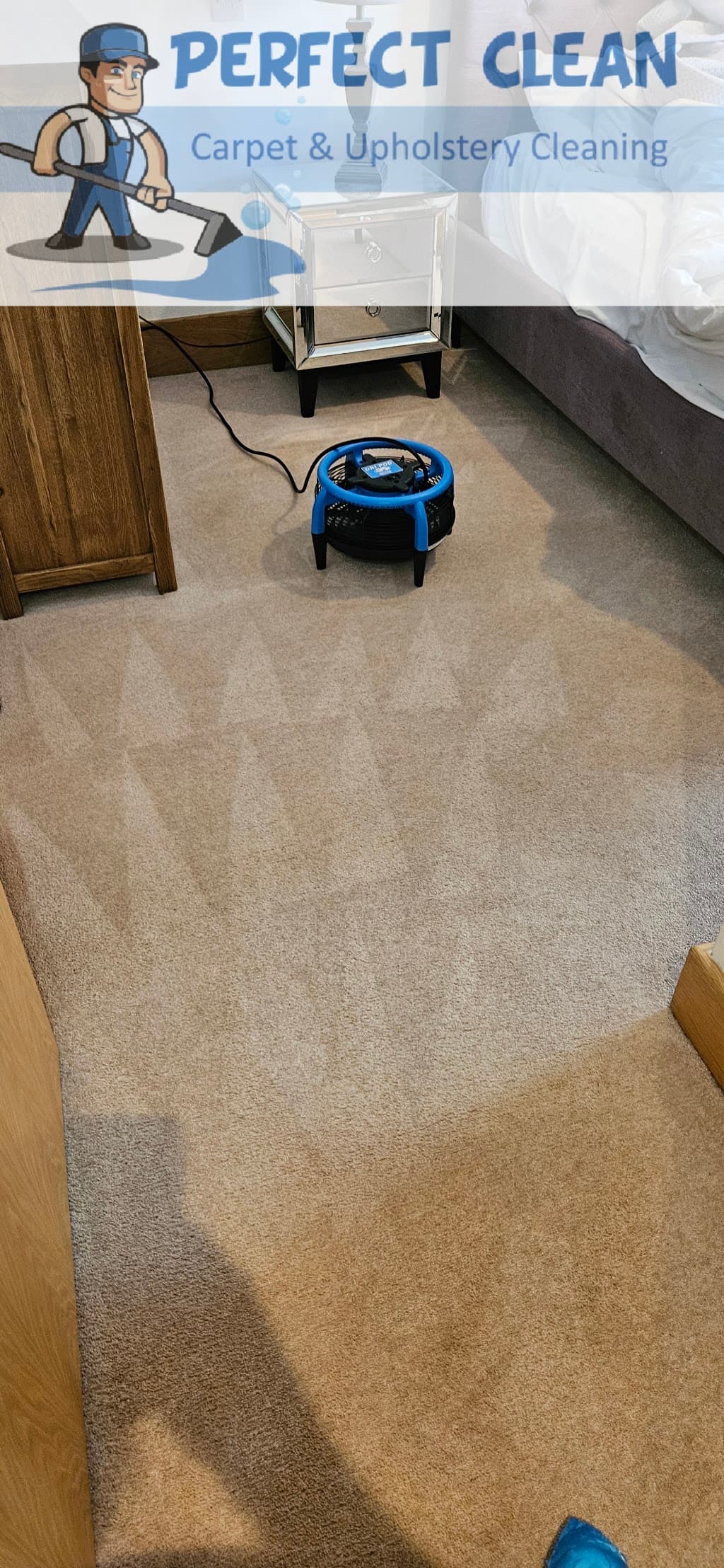 Perfect Clean - Carpet & Upholstery Cleaning