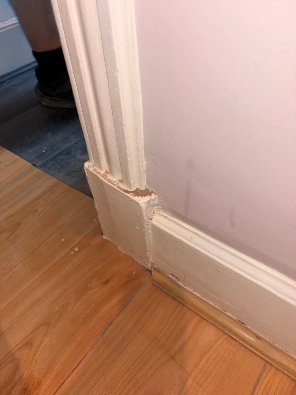 Glasgow Tenancy Cleaning