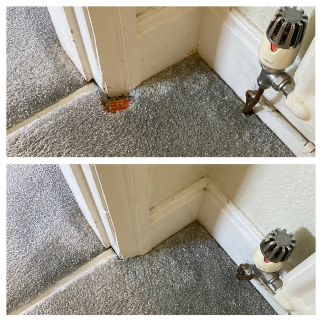 Sharp Solutions Carpet & Upholstery Cleaning