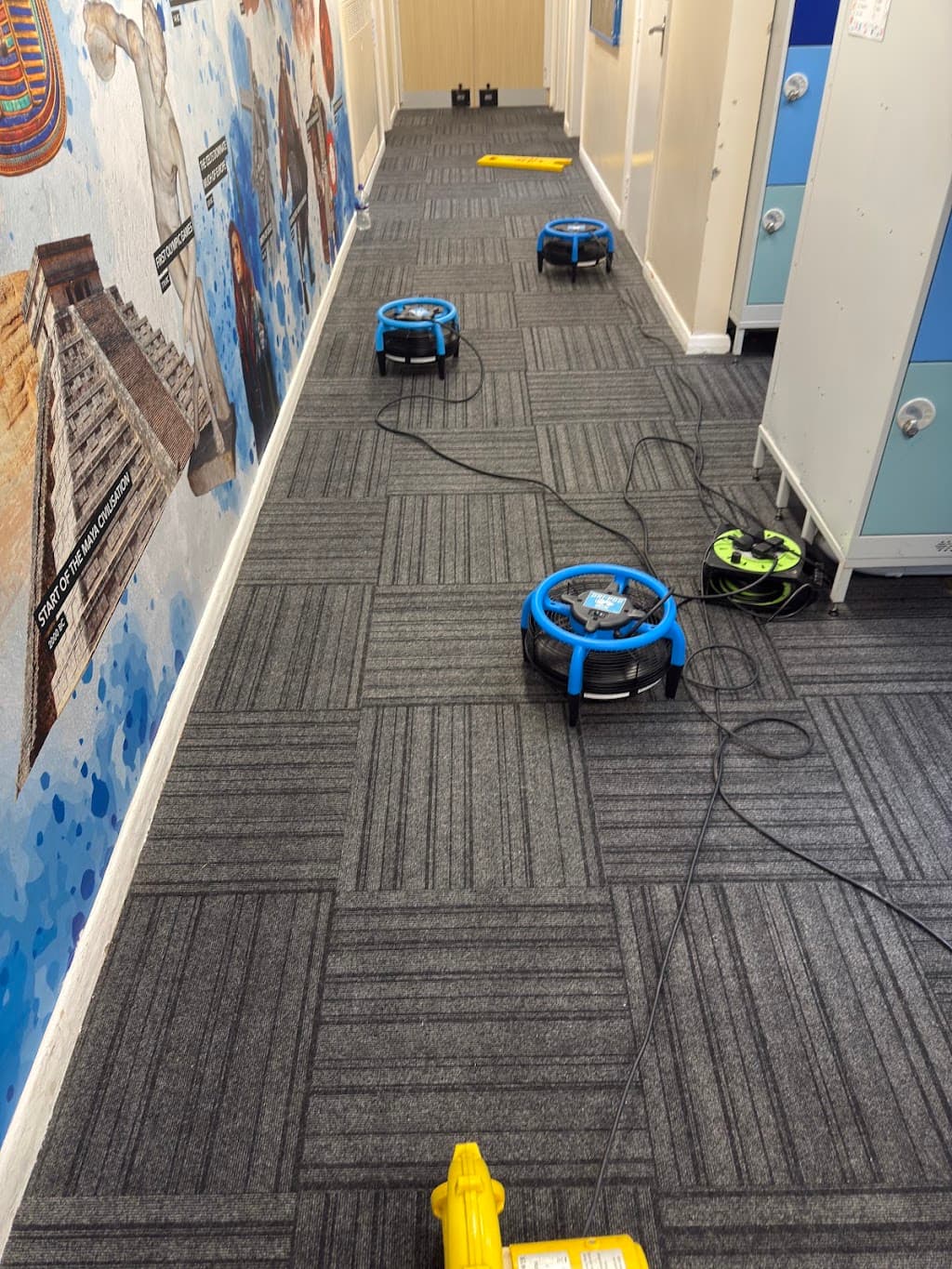 Dustblasters Cleaning Services