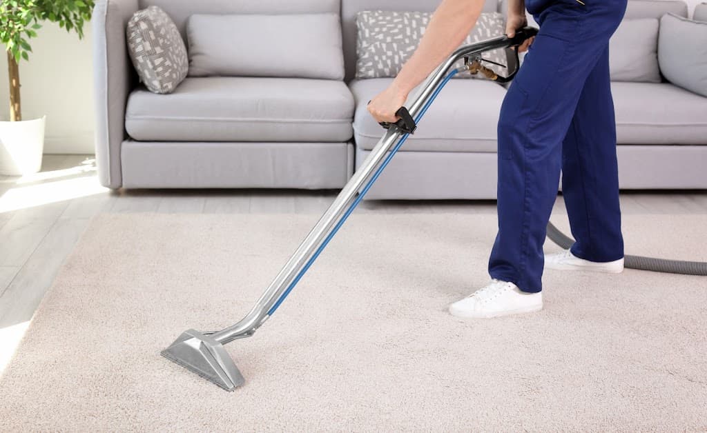 Brighton Carpet Cleaning Services