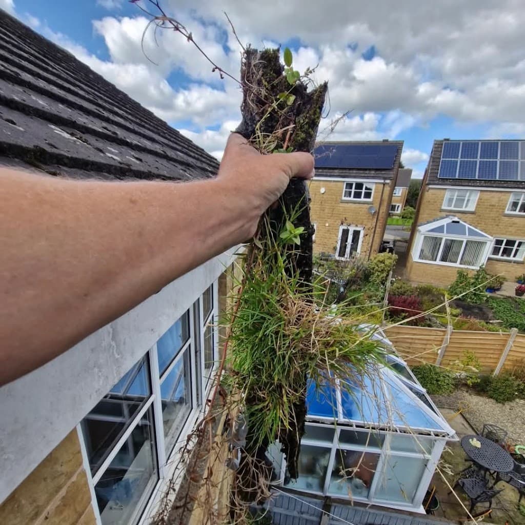 AB's Pristine Clean (window cleaning)