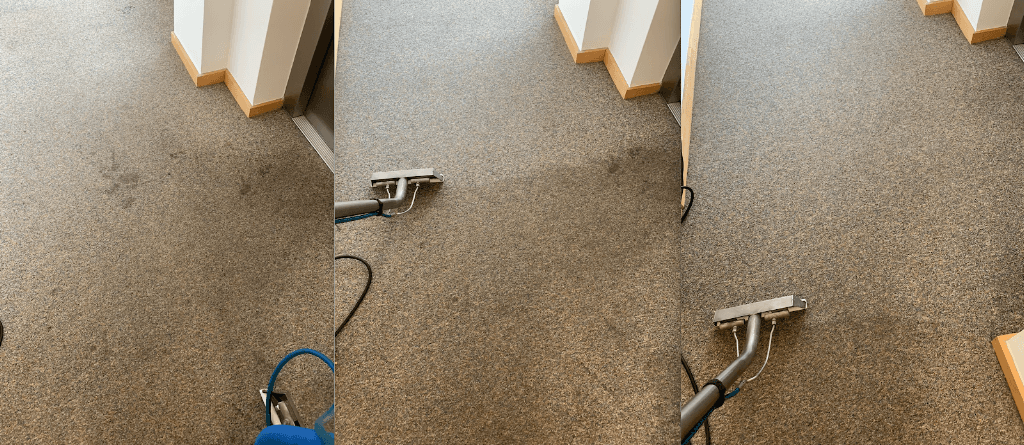 Deep Clean Carpet & Rug Cleaning Services