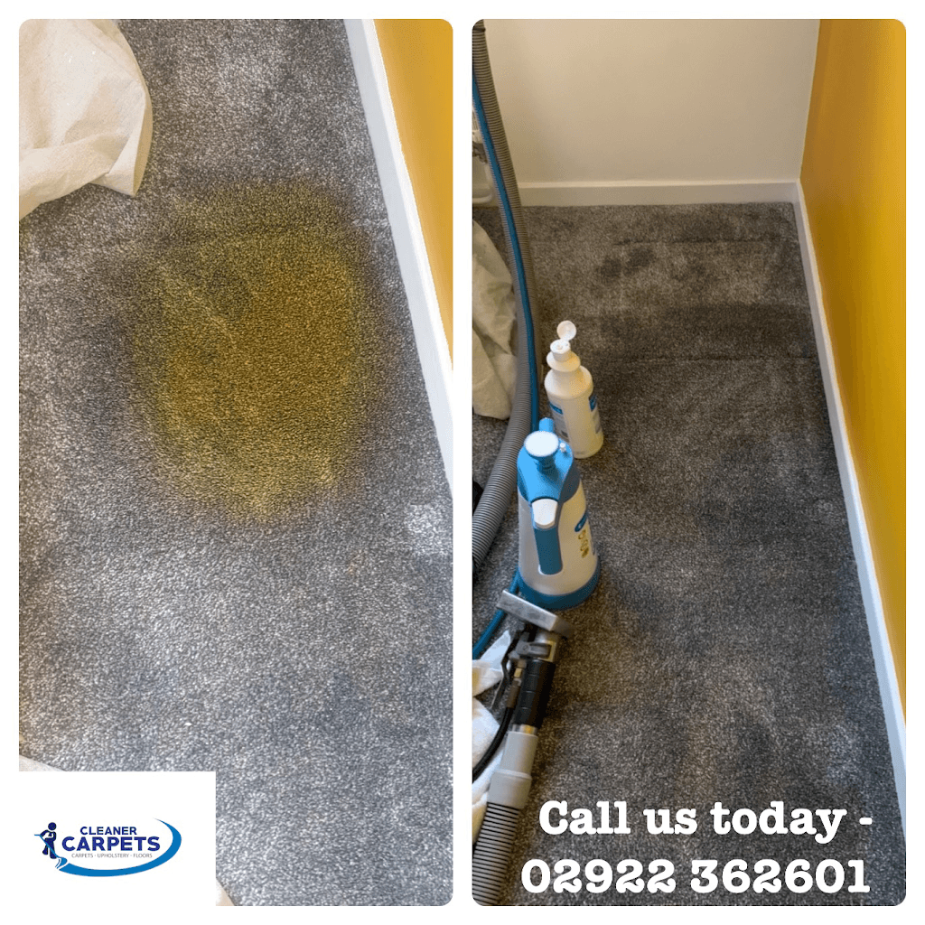 Cleaner Carpets