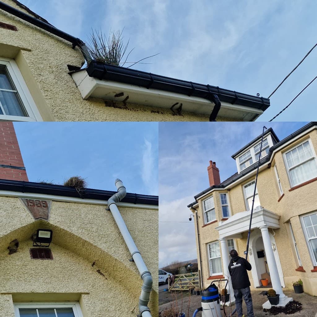 Peninsula Window Cleaning & Exterior Cleaning