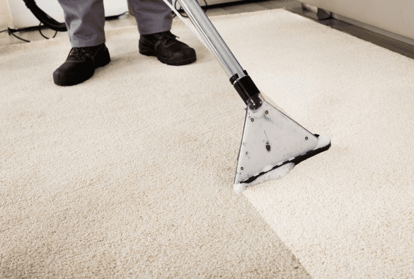 S.Taylor Cambridge Carpet and Upholstery Cleaning Services