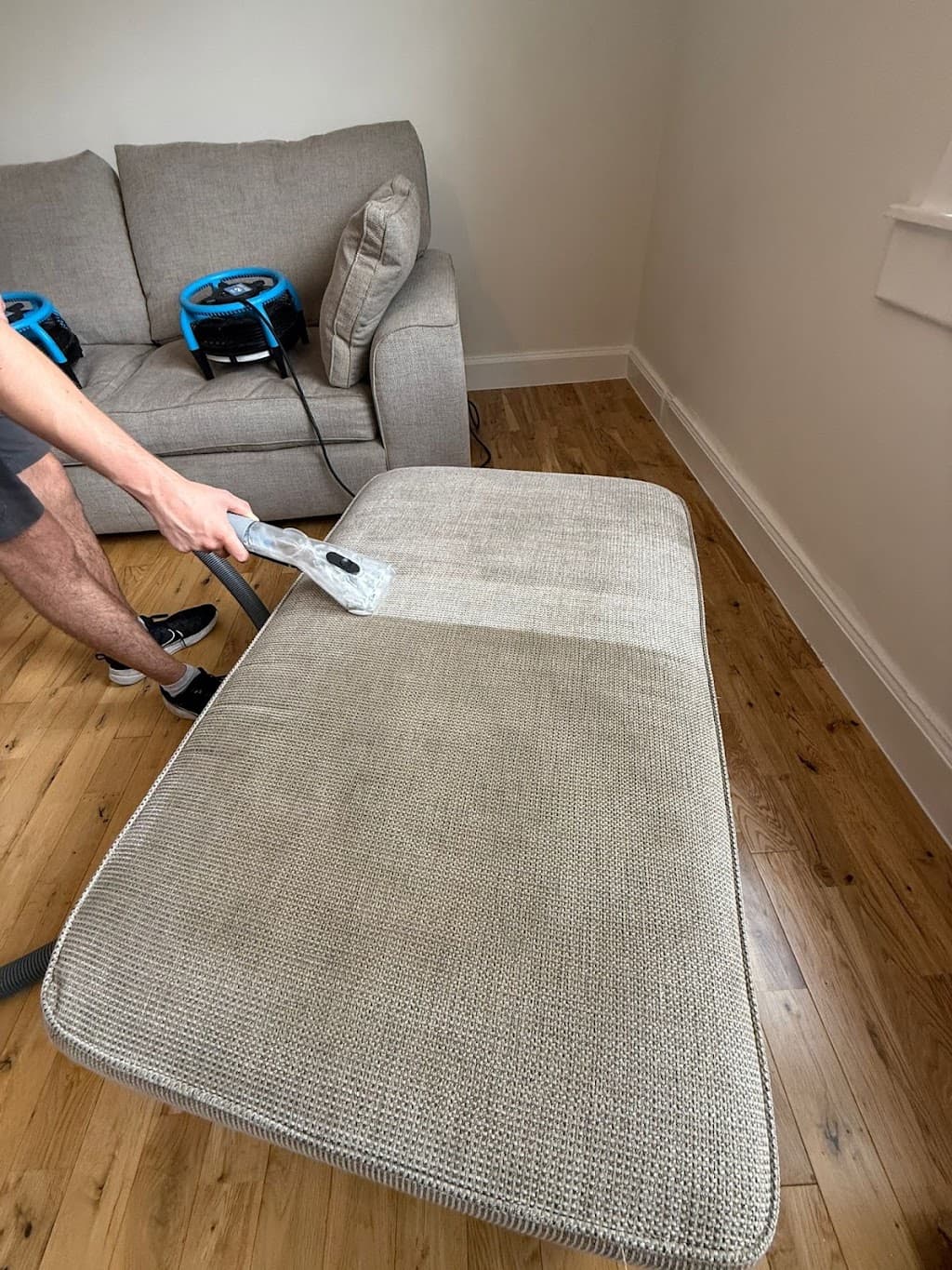 Edinburgh Carpet And Upholstery Cleaning