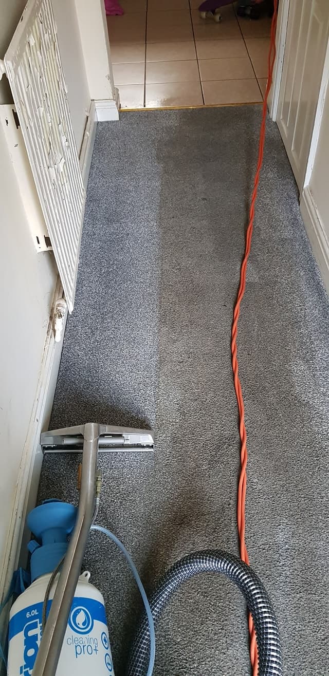 Pro Carpet Cleaner