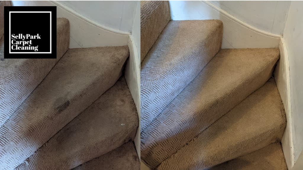 Selly Park Cleaning Services