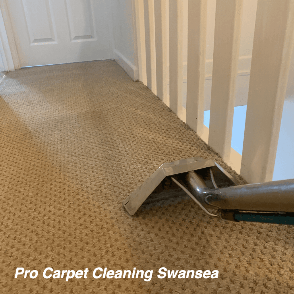 Pro Carpet Cleaning Swansea