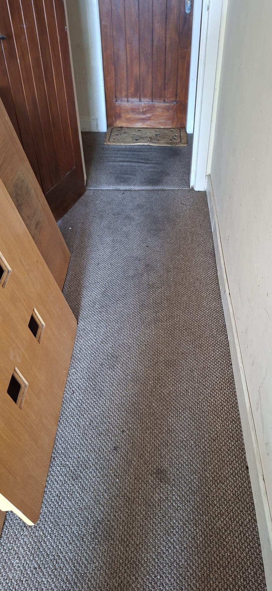 Super Carpet Cleaner