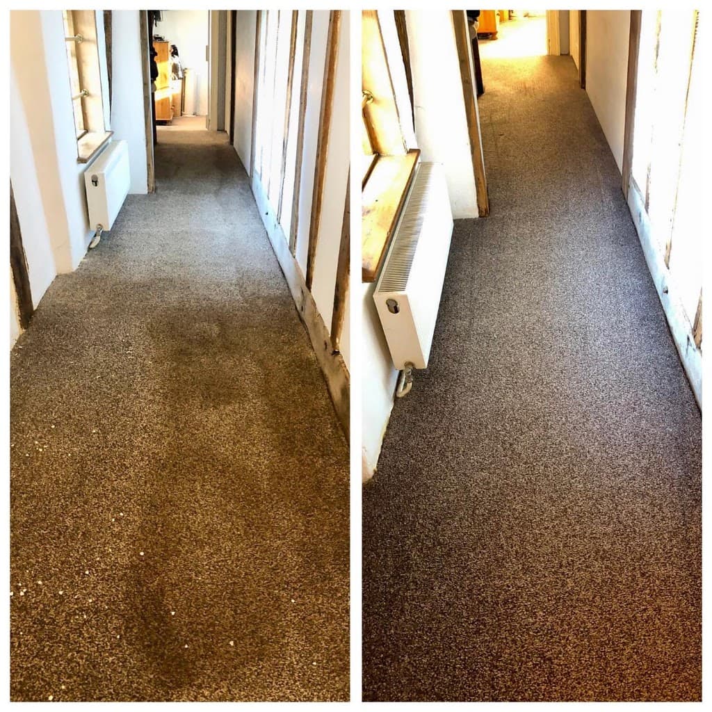 Premier Carpet Cleaning