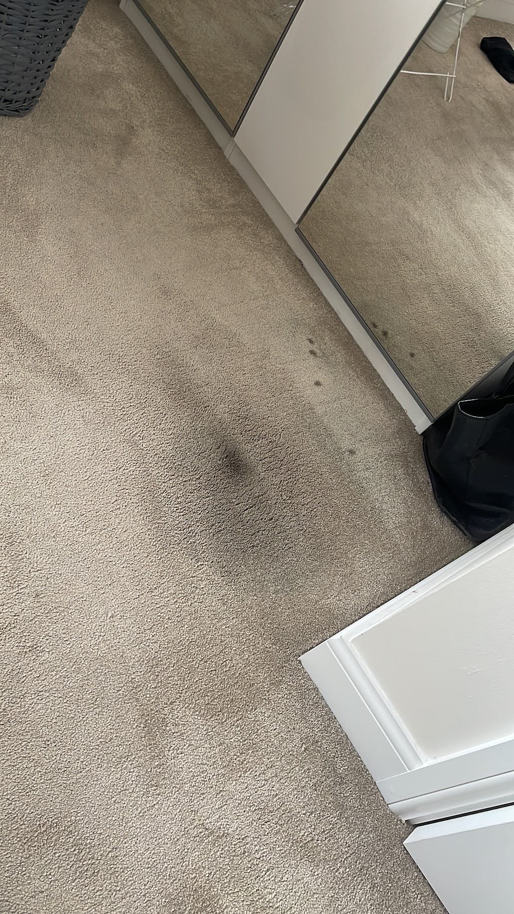 The Carpet Doctor