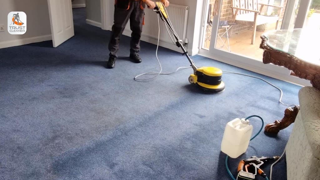 Trust Cleaner