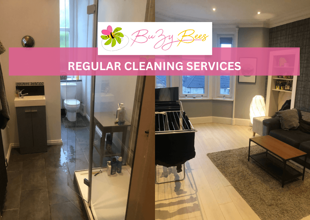 BuZy Bees Cleaning Services