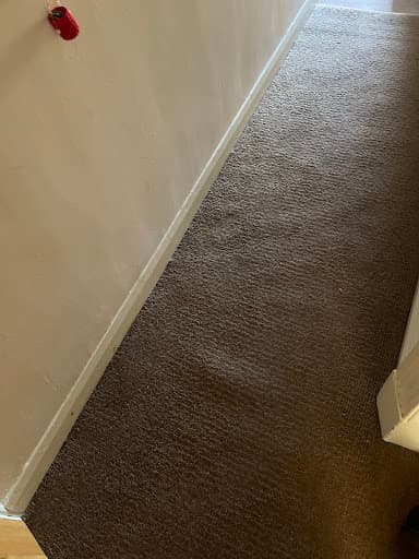 The City Cleaners | Carpet Cleaning Leeds | Domestic and Commercial — Customer photo