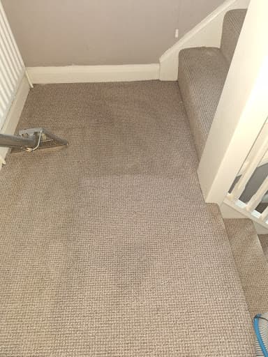 Deep Clean - Carpets & upholstery — Customer photo