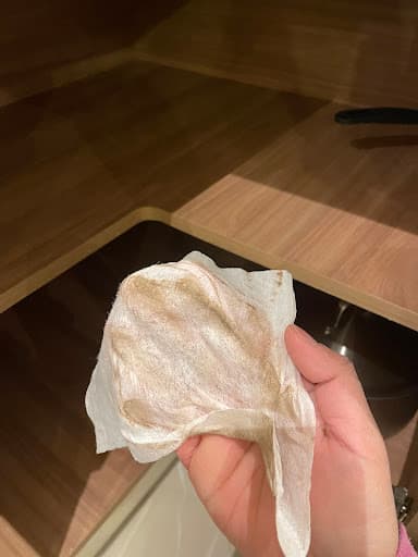 GO Cleaning — Customer photo