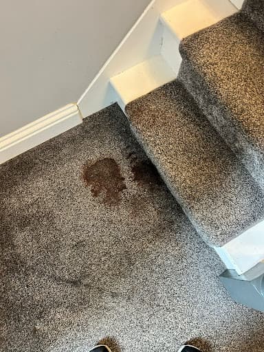 Bickford Cleaning Services — Customer photo