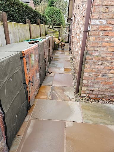 Halo All Surface Cleaning — Customer photo