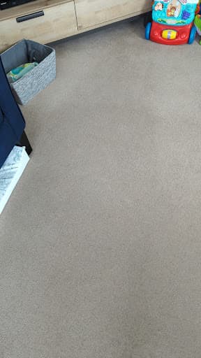 The Carpet Doctor — Customer photo