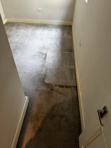 Brighton Carpet Cleaning Services — Customer photo