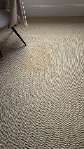 Clean Carpet Limited — Customer photo