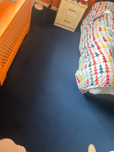 Deep Clean - Carpets & upholstery — Customer photo