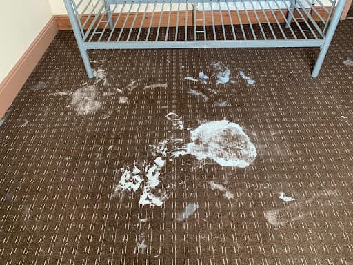 Squeak and Bubbles Domestic and Commercial office carpet, hard floor cleaners, End of tenancy cleaners Otley, Leeds. — Customer photo