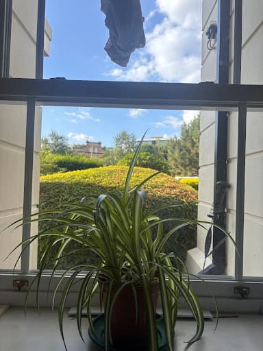 The London Window Cleaning Company — Customer photo