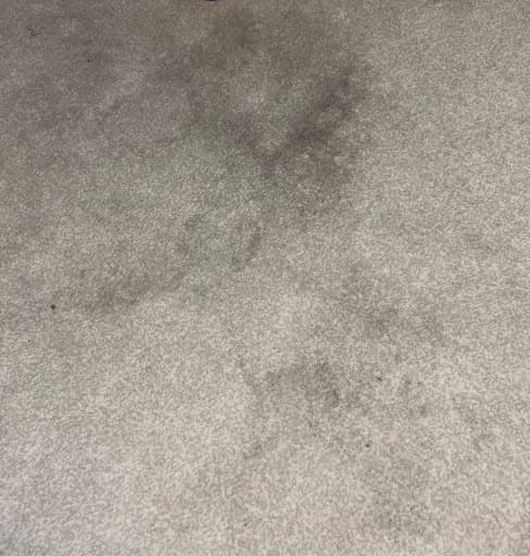 Fitz2Kleen Specialist Cleaners — Customer photo