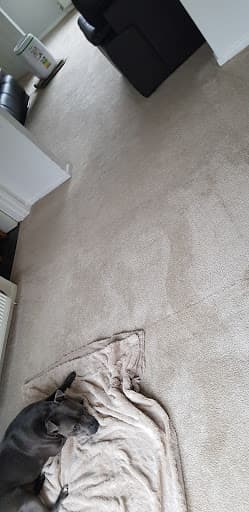 Shaun Ashmore's Cleaning Pro carpet cleaning — Customer photo