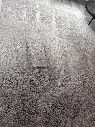 4 Seasons Carpet Clean — Customer photo