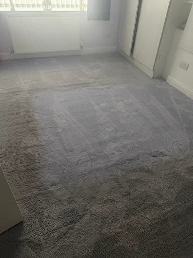 Smile Carpet Cleaning — Customer photo