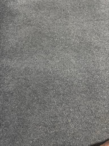 Deep Clean - Carpets & upholstery — Customer photo