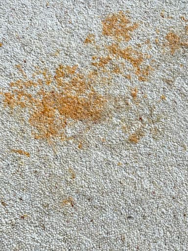 Deep Clean Carpet & Rug Cleaning Services — Customer photo