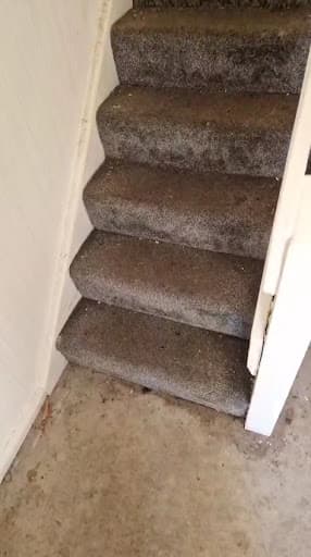 "Lemon Breeze" Ltd. Carpet & Upholstery cleaning Manchester and surrounding areas — Customer photo
