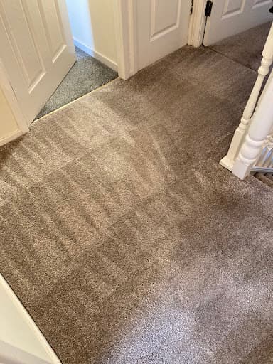 ALS Carpet & Upholstery Cleaning Ltd — Customer photo