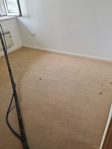 Eco Steam Clean Liverpool Ltd — Customer photo