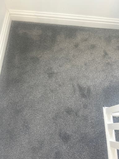 Matrix Carpet & Upholstery Cleaning — Customer photo