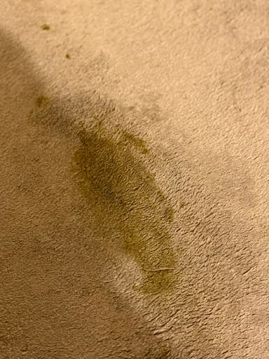 Cleaning Doctor Carpet & Upholstery Services Birmingham & Solihull — Customer photo