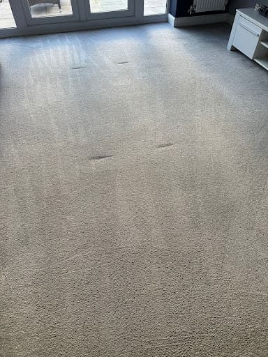 StayClean Carpet & Upholstery Cleaners — Customer photo
