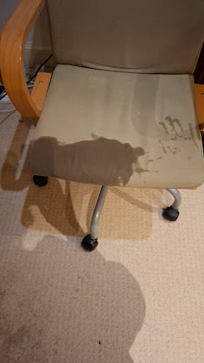 4 Seasons Carpet Clean — Customer photo